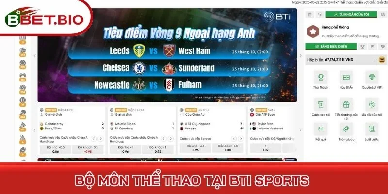 Bộ môn thể thao tại BTI Sports 