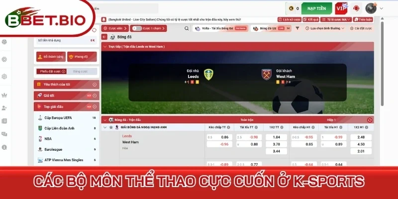 Các bộ môn thể thao cực cuốn ở K-sports 