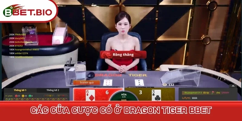 Các cửa cược có ở Dragon Tiger BBet
