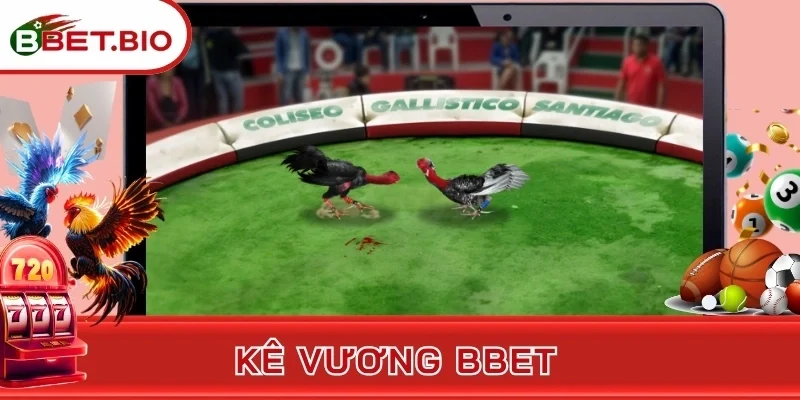 Kê Vương BBet - Đá Gà Kết Hợp Nổ Hũ Siêu Đỉnh Chóp