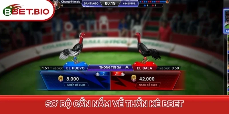 Sơ bộ cần nắm về thần kê BBet