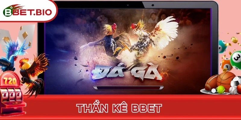 Thần Kê BBet - Chiêm Ngưỡng Chọi Gà Không Có Hồi Kết