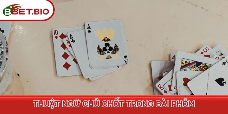 Thuật ngữ chủ chốt trong bài Phỏm